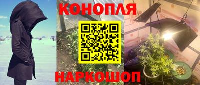 гидропоника Бугуруслан