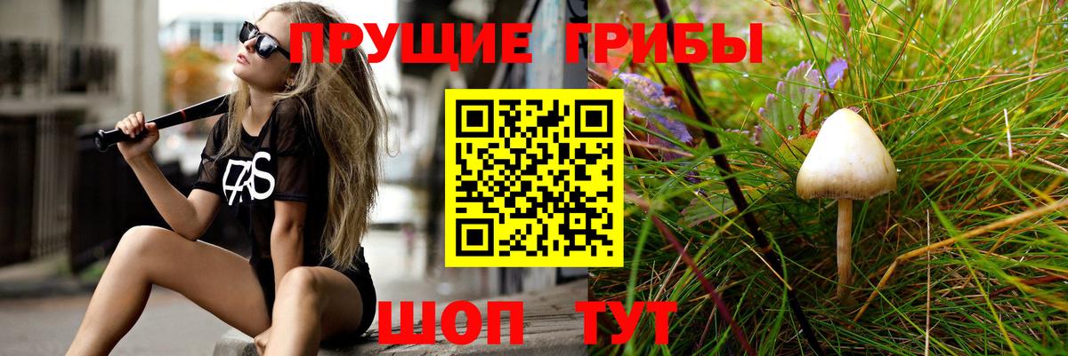 Псилоцибиновые грибы мухоморы  Вход с VPN  Полевской  Галлюциногенные грибы Psilocybine cubensis 