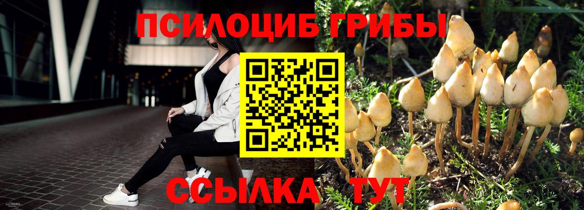 Галлюциногенные грибы MAGIC MUSHROOMS Полевской